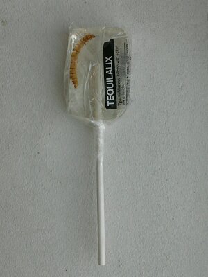 Lolly met worm.jpg image